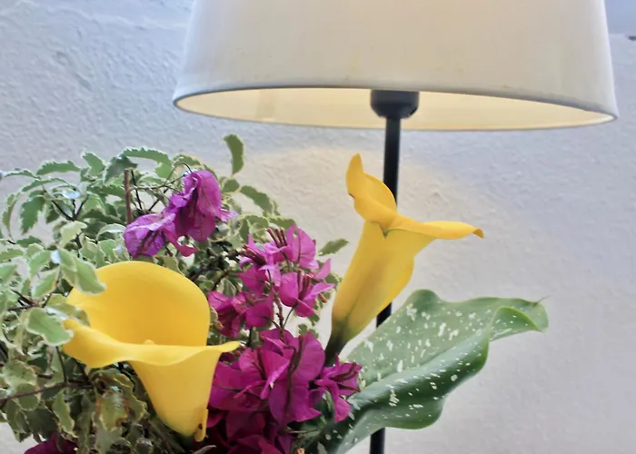 El Encinar De Cantabria Lägenhet Isla Plana