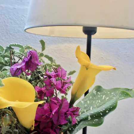 El Encinar De Cantabria Lejlighed Isla Plana